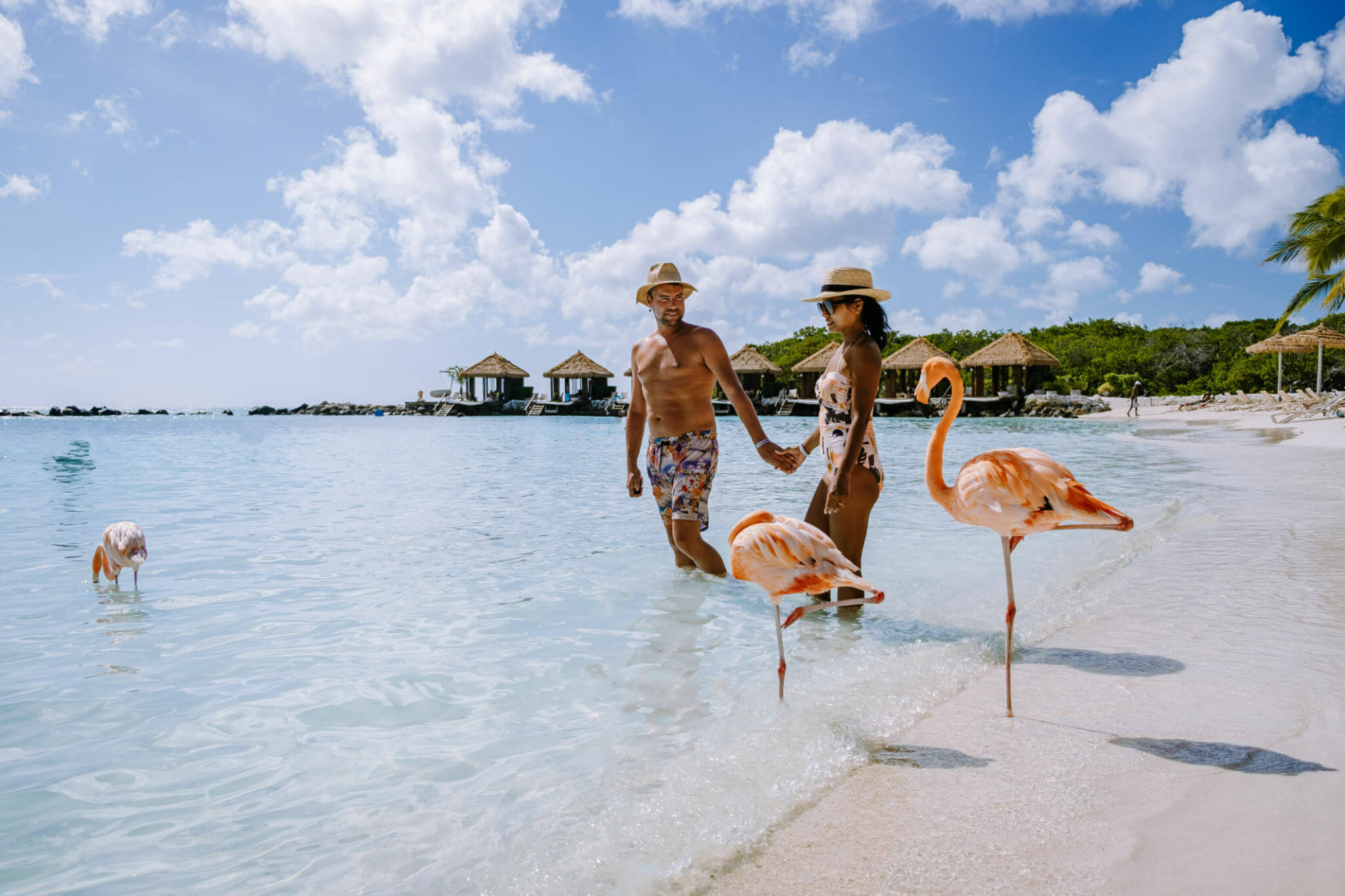 13 Reasons To Vacation in Aruba This Winter in 2024